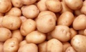 fresh round potatoes - product's photo