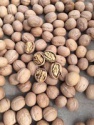 food use and raw processing type walnut - product's photo