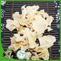 best selling nutritious low-cost healthy delicious food - product's photo