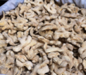 ginger type and single herbs&spices product type dried ginger - product's photo