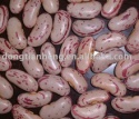 lskb,light speckled kidney beans - product's photo