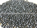 small black bean - product's photo