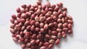 pulses, canned beans, light speckled kidney beans - product's photo
