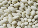 white bean and white kidney beans !!! - product's photo