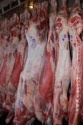 frozen beef carcass - product's photo