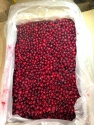 cranberry - product's photo