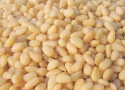 pine nuts - product's photo