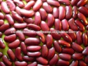 british red kidney beans long shape - product's photo