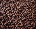 dried cocoa beans - product's photo