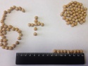 chickpea 6+ - product's photo