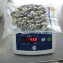 new season high quality frozen vacuum packed short necked clam - product's photo