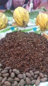 cacao nib - product's photo