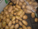 fresh potatoes pakistan origin - product's photo