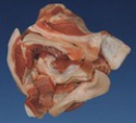 low price ,best quality!buy cheap best frozen pork belly slices - product's photo
