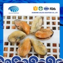 frozen cooked mussel meat without shell top taste - product's photo