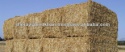 wheat straw fresh 2013 - product's photo