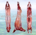 halal chilled lamb / goat meat carcass / sheep carcass chilled fresh - product's photo