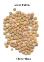 cluster bean seeds - product's photo