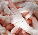 halal frozen whole chicken, paws and feet - product's photo