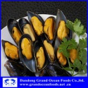 frozen half shell mussel - product's photo