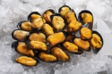 seafood frozen boiled mussel with shell - product's photo
