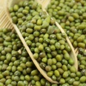 size 2.5mm-5.0mm green mung bean 2016 year - product's photo
