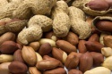 peanuts in stock - product's photo