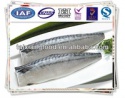 norway mackerel fillet(scomber scombrus) - product's photo