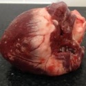 frozen pork heart - product's photo