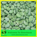high quality iqf baby broad beans whole - product's photo
