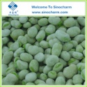 iqf frozen broad bean - product's photo