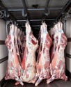 clean frozen beef meat beef carcass - product's photo