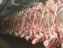 grade a halal frozen whole beef carcasses / frozen beef parts - product's photo