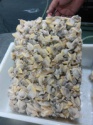 frozen clams without shell - product's photo