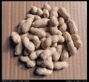 peanut inshell 11/13 - product's photo