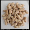 peanut inshell 13/15 - product's photo