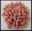 peanut kernels 24/28 - product's photo