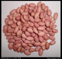 peanut kernels 28/32 - product's photo