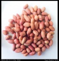 peanut kernels 34/38 - product's photo