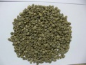 chinese yunnan green coffee beans - product's photo