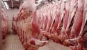 frozen pork meat and parts - product's photo