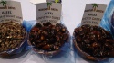 pitted dates - product's photo