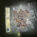 frozen cooked sea clam shell containers - product's photo
