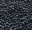 black kidney beans - product's photo