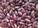 new crop purple kidney bean - product's photo