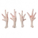chicken paws and feet - product's photo