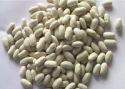 white kidney beans / butter bean / white bean/2016 new crop - product's photo