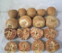 nuts almond, cashew nuts, pistachio, sunflower seeds - product's photo