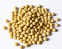 high grade china non gmo soybean price - product's photo