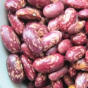 long shape black purple speckled kidney beans - product's photo